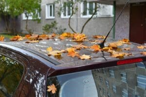 Fall car care and vehicle protection tips from CAB Detailing NJ in Morris County