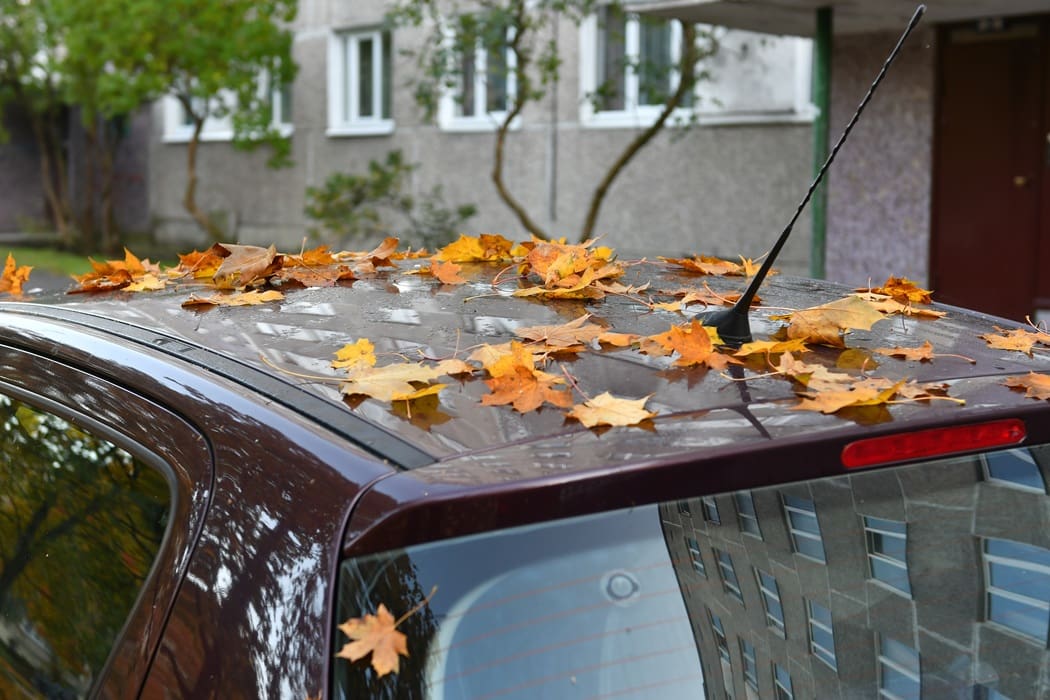 Fall car care and vehicle protection tips from CAB Detailing NJ in Morris County